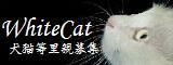 犬・猫など里親募集