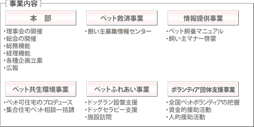 活動内容