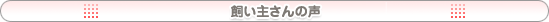 里親さんの声